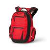 Oakley Arsenal Backpack in Red/Black or Crystal Grey