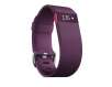 Fitbit Charge Heart Rate Monitor Activity Tracker - Plum - Large