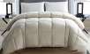 200 Thread-Count Jacquard Greek-Key Down-Alternative Cotton Comforter from $34.99