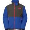 Backcountry - extra 25% Off or 15% Off Select Items: The North Face Denali Fleece Jacket Boys