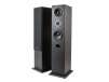 Premium Dual 5.25 Inch 2-Way Tower Speakers (Pair) - Black Finish