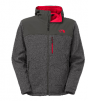 The North Face Men Insulated Gordon Lyons Hoodie