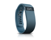 Fitbit Charge Activity Tracker Slate - iPhone, Android, and Windows (Small, Slate)