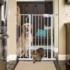 Carlson Extra Tall Pet Gate with Small Pet Door