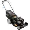 Craftsman 7.25 Engine Torque Just Check & Add Rear Bag Push Mower