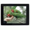 12.1" 1024 x 768 resolution Digital Photo Frame