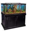Marineland 75 Gallon Aquarium Majesty Ensemble