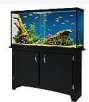 Marineland 60 Gallon Heartland LED Aquarium with Stand