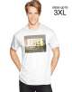 Hanes Clearance Sale: Graphic Tees (various) $4, Hanes Men
