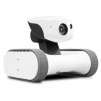 iPatrol Riley Smart Home Patrol Robot