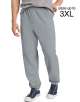 Hanes ComfortBlend EcoSmart Sweatpants: Men
