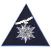 2017 Annual Limited Edition Snowflake Christmas Ornament by Swarovski