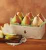 Customer Appreciation Pears for Free + $9.99 Shipping