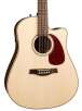Seagull 33454 Maritime Dreadnought Acoustic-Electric Guitar