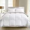 Hotel Suite White Goose Down & Feather Comforter (King)