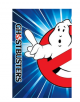 Ghostbusters 1984 (4K UHD Digital Download)