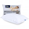 Kohls Pillows: Serta Regal Cotton or Sealy Elite 5-in-1 Complete Solution Firm $5.92, More