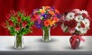 Groupon: Blooms Today - $40 Value with Shipping Included for $16, More