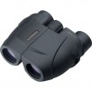 Leupold 10x25 BX-1 Rogue Compact Binocular
