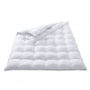 Columbia 3-In-1 Down Alternative Comforter