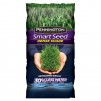 Pennington SMART SEED Dense Shade Seed 15-lbs