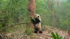 Round Trip Flight: Los Angeles to Chengdu China for $325-$352 (China Southern Airlines)