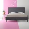 Hashtag Home Cowell Queen Upholstered Panel Bed