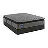 Sealy Humbolt Ltd Cushion Firm Pillow Top Mattress and Box Spring