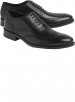 Cole Haan Williams Wingtip Oxfords