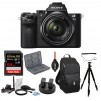 Sony Alpha A7ii Mirrorless Camera With 28-70mm Lens And 64GB Card Bundle (Black)