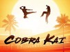 Cobra Kai: Season 1 (Digital HD TV Show)