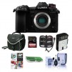 Panasonic Lumix G9 Mirrorless Camera Bundles (Body Only, Black)  with Accessory Bundle