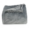 The Big One Super Soft Plush Blanket
