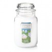 Kohls 22oz Yankee Candle Large Jar Candles (various) :  5 for $53.5