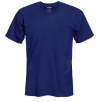 Gildan Short Sleeve Adult T-Shirt for $2, More