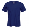 Gildan Color T-Shirt (Adult or Youth, Various Colors): 21 for $30