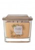 Yankee Candle 12oz Elevation Candle (Various) $6, More