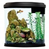 Top Fin Enchant Aquarium (3.5 Gallon)
