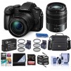 Panasonic Lumix DMC-G85 Mirrorless with 12-60mm OIS & 45-150mm Lenses W/Free Kit