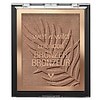 Walgreens Wet n Wild Cosmetics: Color Icon Bronzer or Color Icon Blush Free