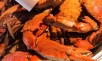 Groupon Up to 65% off Blue Crab Trading Company Seafood Bundles