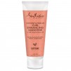 3.2oz SheaMoisture Coconut and Hibiscus Curl Enhancing Hair Smoothie:  2 for $0.08