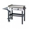 Blackstone 2 burners Liquid Propane Outdoor Griddle Grill Black