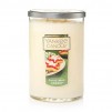 Yankee Candle 22-oz. Large Candle Jars & Tumblers