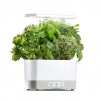 AeroGarden Harvest Indoor Garden with Gourmet Herb Seed Pod Kit