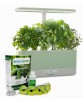 AeroGarden Harvest Slim with Gourmet Herbs Seed Pod Kit
