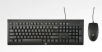 HP C2500 Desktop Wired Keyboard & Mouse Combo