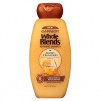 Walgreens: Garnier Whole Blends Hair Care Products (Various) 2 for $2.32