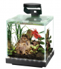 Aqueon Edgelit 1-Gallon Cube Glass Top Aquarium