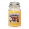 BJs Wholesale Members: 19oz Yankee Candle Jar Candles (Holiday Scents) $6